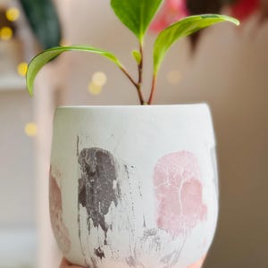 Pode incluir: Um vaso de cer&acirc;mica branco com acabamento desgastado e desenhos abstratos em rosa e cinza. Uma planta verde com folhas grandes est&aacute; crescendo no vaso.