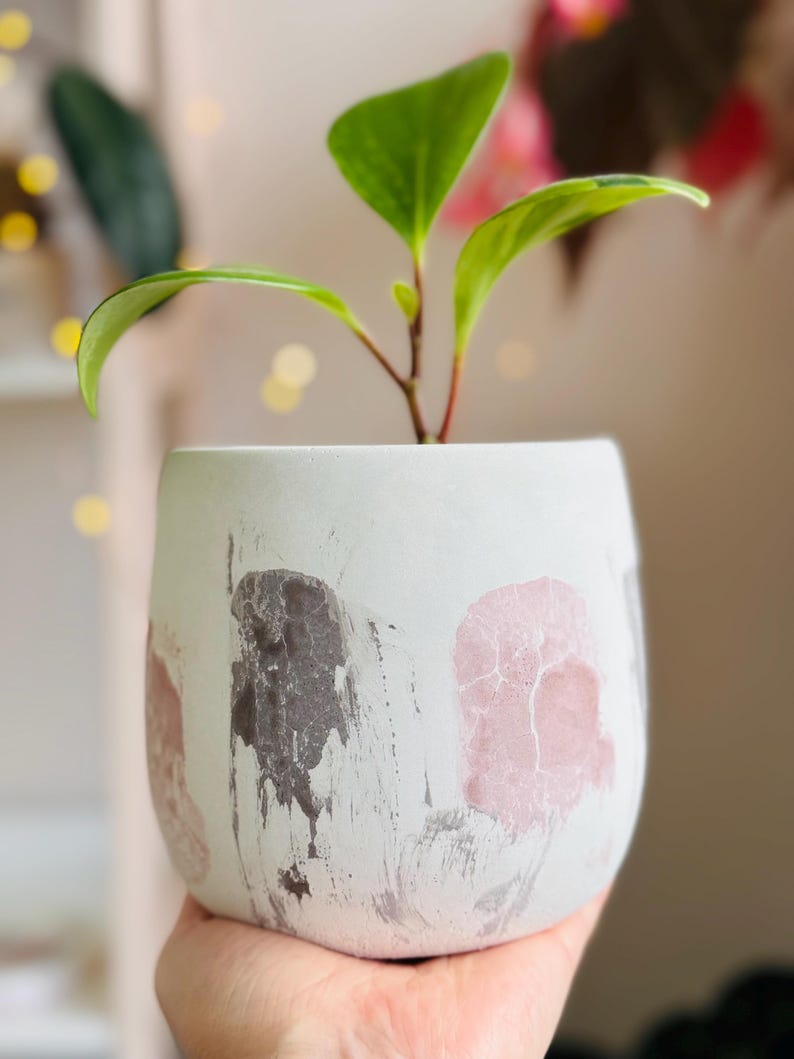 Pode incluir: Um vaso de cer&acirc;mica branco com acabamento desgastado e desenhos abstratos em rosa e cinza. Uma planta verde com folhas grandes est&aacute; crescendo no vaso.