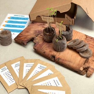 Puede incluir: Un conjunto de suministros de jardiner&iacute;a para cultivar hierbas. El conjunto incluye paquetes de semillas, pastillas de turba y marcadores de plantas de madera. Los marcadores de plantas est&aacute;n etiquetados con los nombres de las hierbas: cilantro, estrag&oacute;n y eneldo.
