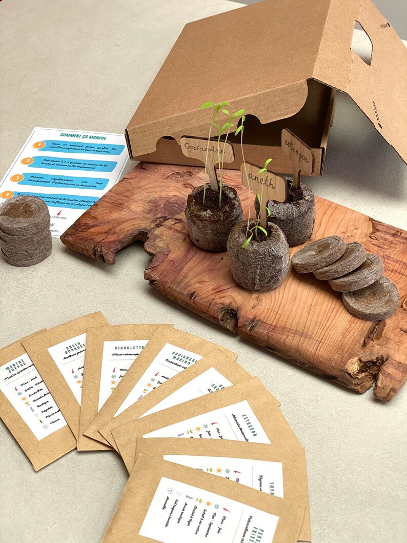 Puede incluir: Un conjunto de suministros de jardiner&iacute;a para cultivar hierbas. El conjunto incluye paquetes de semillas, pastillas de turba y marcadores de plantas de madera. Los marcadores de plantas est&aacute;n etiquetados con los nombres de las hierbas: cilantro, estrag&oacute;n y eneldo.