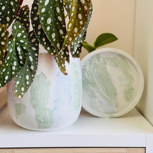 May include: A white and green marbled ceramic planter with a matching saucer. The planter holds a plant with large green leaves speckled with white spots. The planter and saucer sit on a white surface.
