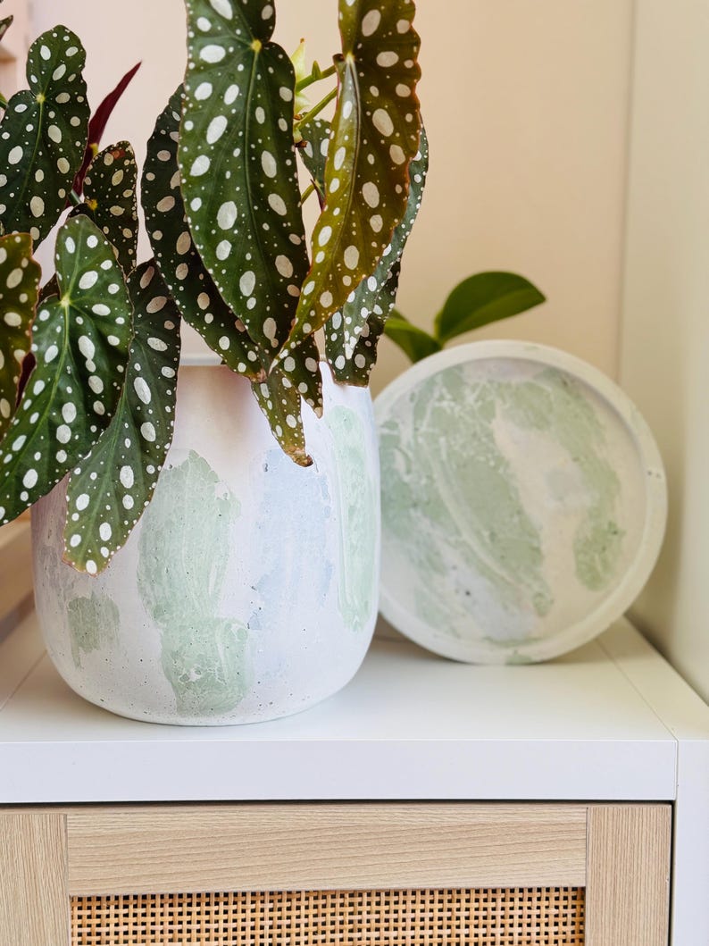 May include: A white and green marbled ceramic planter with a matching saucer. The planter holds a plant with large green leaves speckled with white spots. The planter and saucer sit on a white surface.