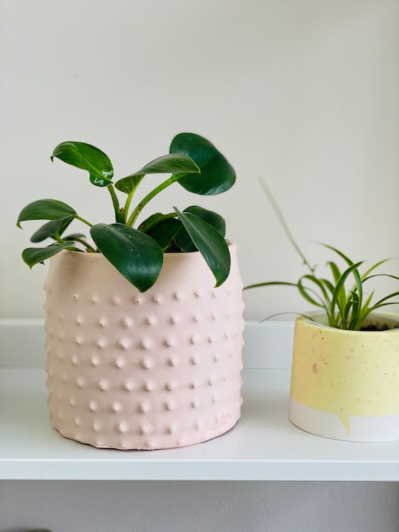 Skandinavischer Blumentopf | Spike-Pflanzgefäß | Mint-Türkis-Grün | Jesmonit-Dekoration
