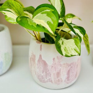 Puede incluir: Una planta en maceta con hojas verdes y blancas variegadas en una maceta de cer&aacute;mica blanca con vetas rosas y blancas.