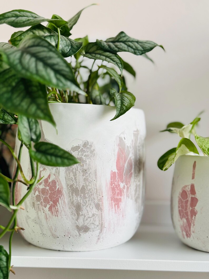 May include: Two white ceramic planters with pink and gray abstract designs, holding green leafy plants. The larger planter has a wider opening and a more detailed pattern. The plants have textured, veined leaves.