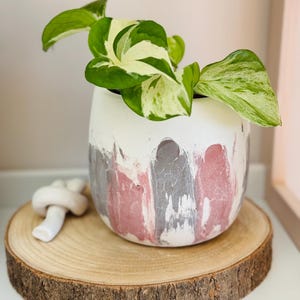 Japandi Design Bloempot & Schotel | Bloempot 11 CM Wit, Pastel | Gebarsten patroon Noir Bordeau