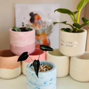Puede incluir: Una colección de pequeñas macetas decorativas en varios colores, incluyendo rosa, melocotón y azul. Las macetas están llenas de plantas y pequeñas piedras. Una imagen enmarcada se encuentra en el fondo.