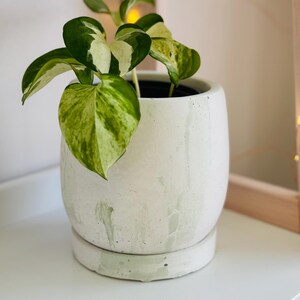 Japandi Design Bloempot & Schotel | Bloempot 11 CM Wit, Pastel | Gebarsten patroon Vert Clair