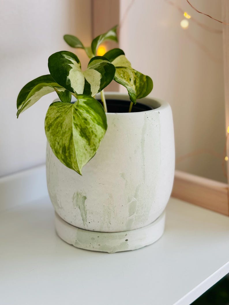 Japandi Design Bloempot & Schotel | Bloempot 11 CM Wit, Pastel | Gebarsten patroon Vert Clair