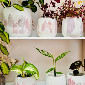 Puede incluir: Cinco macetas de cer&aacute;mica blanca con dise&ntilde;os de acuarela rosa y gris, cada una con una planta de interior diferente. Las plantas incluyen una monstera, un pothos y un filodendro.
