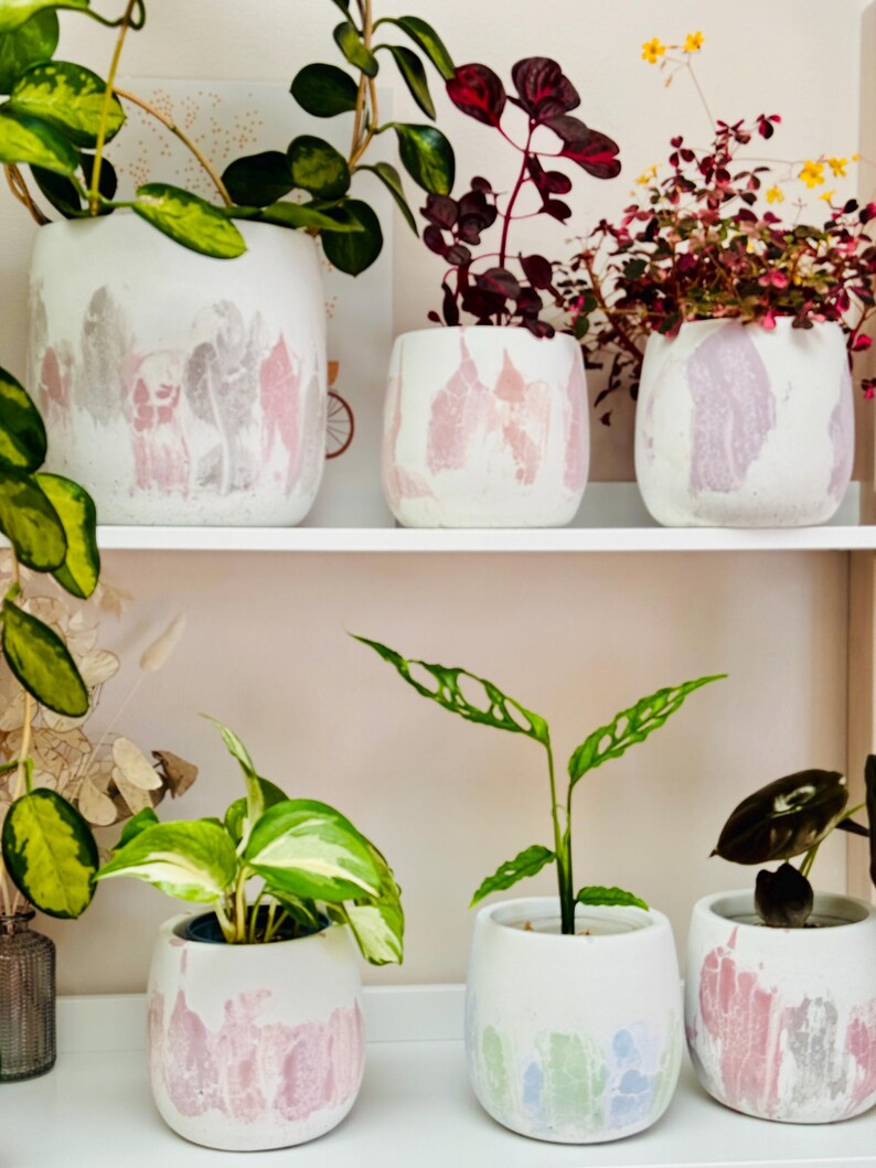 Puede incluir: Cinco macetas de cer&aacute;mica blanca con dise&ntilde;os de acuarela rosa y gris, cada una con una planta de interior diferente. Las plantas incluyen una monstera, un pothos y un filodendro.