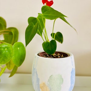 Japandi Design Bloempot & Schotel | Bloempot 11 CM Wit, Pastel | Gebarsten patroon afbeelding 4