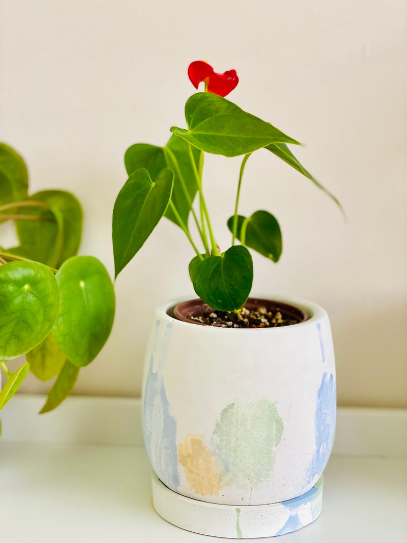 Japandi Design Bloempot & Schotel | Bloempot 11 CM Wit, Pastel | Gebarsten patroon afbeelding 4