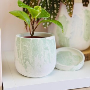 Pode incluir: Uma pequena planta verde em um vaso de concreto branco e verde com um pires correspondente. O vaso tem um efeito marmorizado.