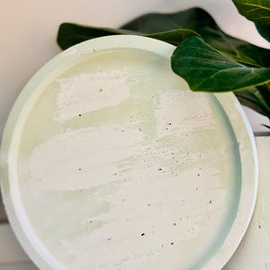 May include: A round, light green concrete tray with a white and green mottled surface. The tray has a raised edge and is next to a matching concrete cylinder. A large green plant leaf is in the background.