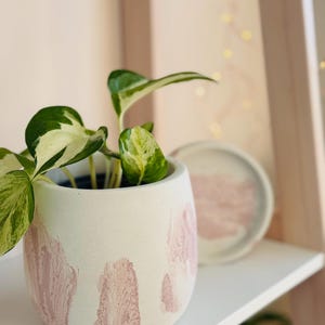 Pode incluir: Um vaso branco com pinceladas rosa, com uma planta verde e branca variegada. O vaso est&aacute; em uma prateleira branca.