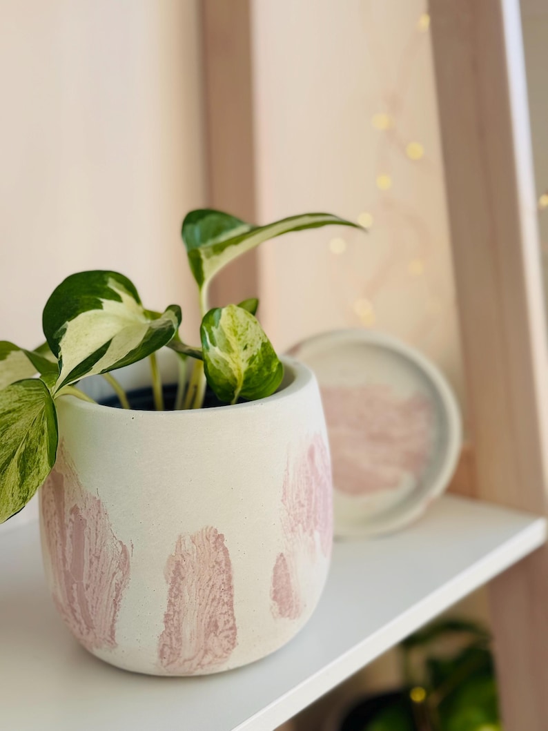 Pode incluir: Um vaso branco com pinceladas rosa, com uma planta verde e branca variegada. O vaso est&aacute; em uma prateleira branca.