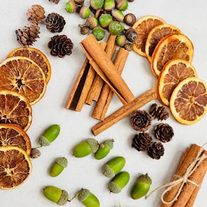Può includere: Una collezione di elementi decorativi naturali che include fette di arancia essiccata, bastoncini di cannella marroni, piccole pigne marroni e ghiande verde brillante. Alcuni bastoncini sono sciolti, altri legati insieme con dello spago.