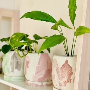 Pode incluir: Tr&ecirc;s plantas em vasos em uma prateleira branca. As plantas est&atilde;o em vasos de cer&acirc;mica branca com desenhos marmorizados em rosa e cinza. A prateleira faz parte de uma escada de madeira.