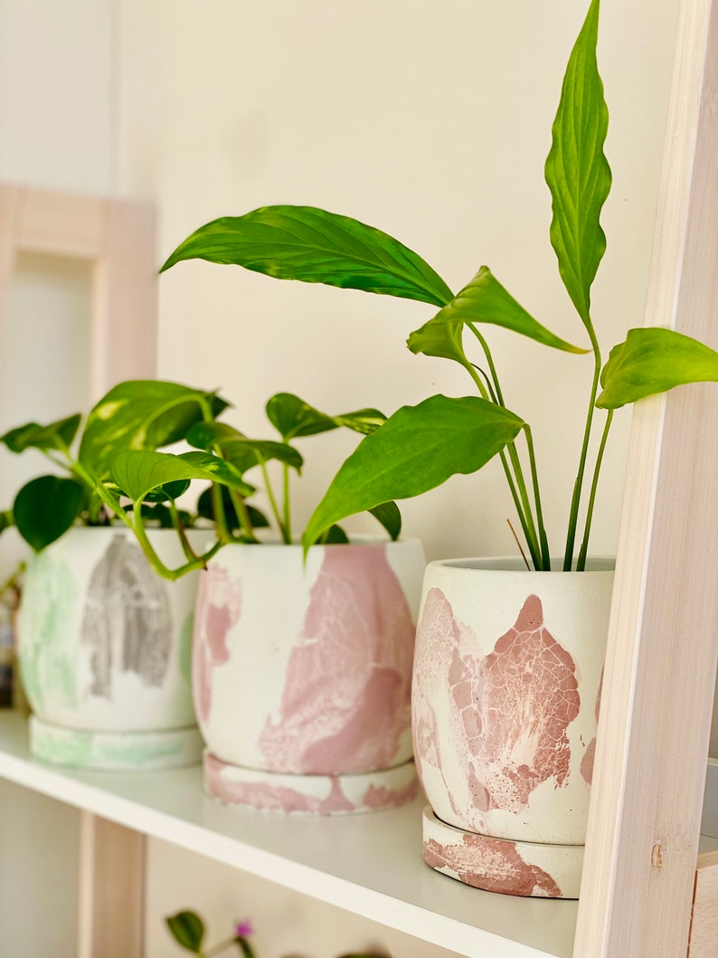 Pode incluir: Tr&ecirc;s plantas em vasos em uma prateleira branca. As plantas est&atilde;o em vasos de cer&acirc;mica branca com desenhos marmorizados em rosa e cinza. A prateleira faz parte de uma escada de madeira.