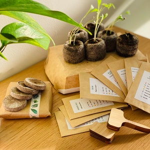 Puede incluir: Un conjunto de suministros de jardiner&iacute;a que incluye paquetes de semillas, macetas de turba, marcadores de plantas y una peque&ntilde;a caja de regalo marr&oacute;n con una planta verde. Los paquetes de semillas est&aacute;n etiquetados con los nombres de diferentes verduras, como "Tomates" y "Pimientos".