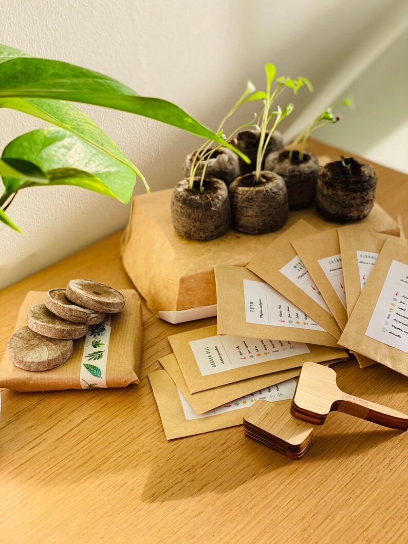 Puede incluir: Un conjunto de suministros de jardiner&iacute;a que incluye paquetes de semillas, macetas de turba, marcadores de plantas y una peque&ntilde;a caja de regalo marr&oacute;n con una planta verde. Los paquetes de semillas est&aacute;n etiquetados con los nombres de diferentes verduras, como "Tomates" y "Pimientos".