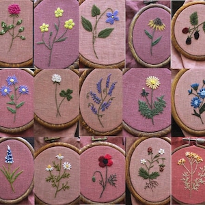 Può includere: Una collezione di 25 cerchi da ricamo con vari disegni floreali, ognuno con un tipo diverso di fiore, tra cui margherite, papaveri e gigli. I cerchi sono tutti della stessa dimensione e sono esposti su uno sfondo rosa.