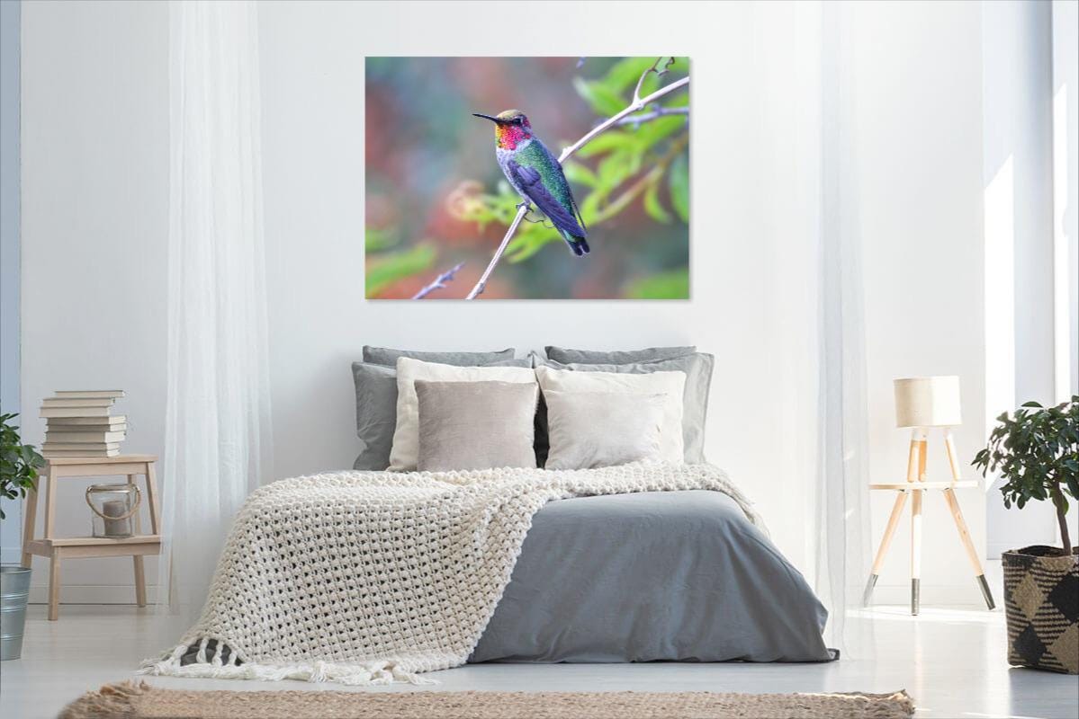 Confezione da 2 Decorazioni Parete Metallo Con Colibrì Decorazioni Colorate Appendere all'aperto Uccelli 3D Decorazioni Parete Recinzioni Esterne