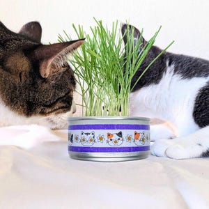Puede incluir: Un plantador de hierba para gatos en una lata reutilizada, decorado con una banda morada y gráficos de caras de gato. La lata está llena de hierba verde vibrante, y dos gatos están cerca, pareciendo interesados en la planta.