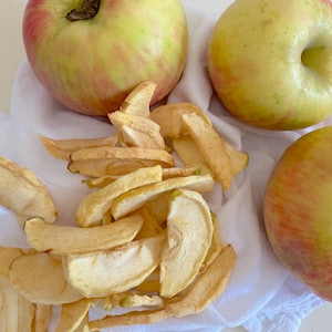 Organic Dehydrated Apple Crisps: Healthy Small Pet Treats