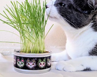 Organic Cat Grass Growing Kit | Healthy Treat | Pet Grass | Organic Wheatgrass - Sugar Skull Kitties