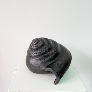 Pode incluir: Uma escultura de madeira entalhada em castanho escuro com a forma de uma grande concha. A superfície apresenta um padrão detalhado de hachuras cruzadas repetitivas gravado na madeira, seguindo a forma espiral da concha.