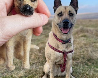 Hand felted pet portrait sculptures. Custom made unique gift idea, or keepsake. Happy to answer questions! Father's day gift!