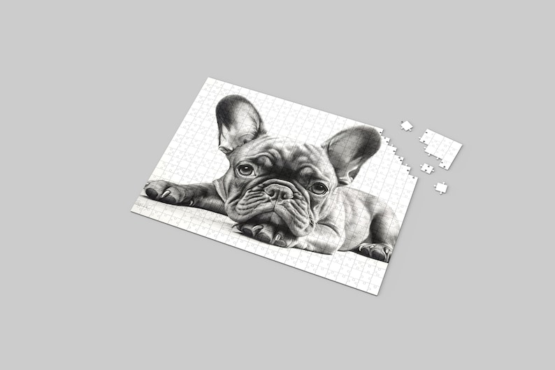 Sublimationsdruck A4 * Selbst gestalten * Ausdruck auf Premium Papier.