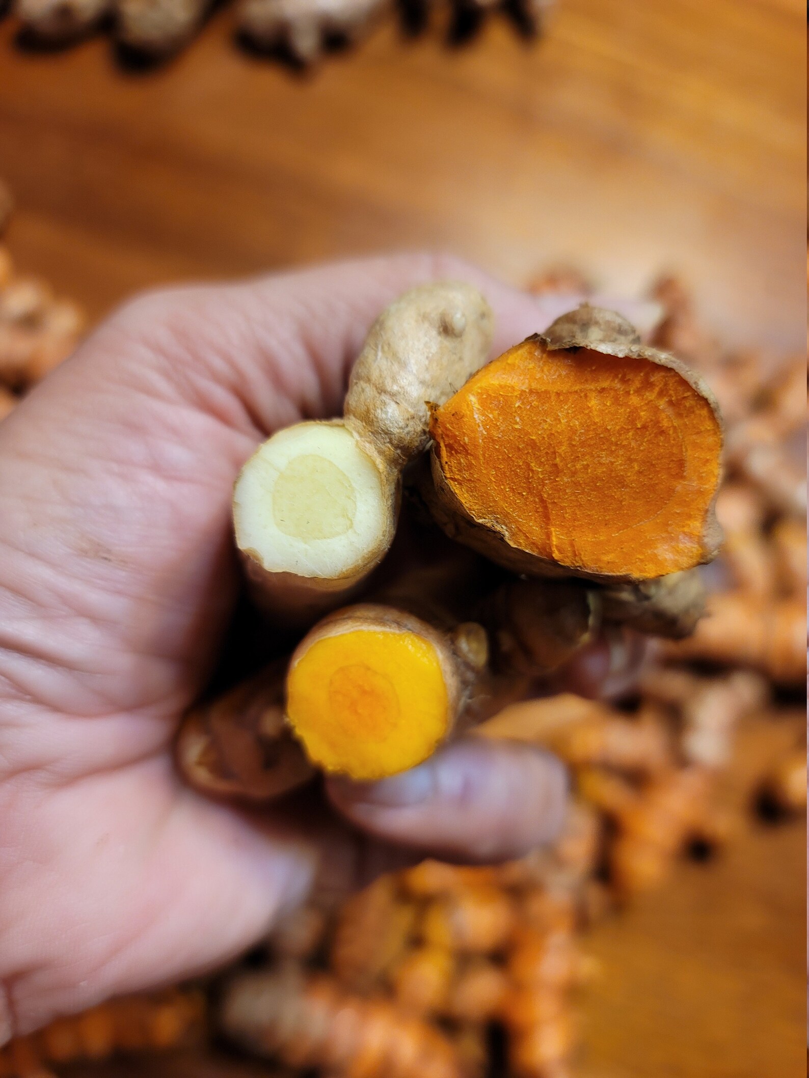 Organic Hawaiian Red Turmeric Rhizomes for planting Etsy