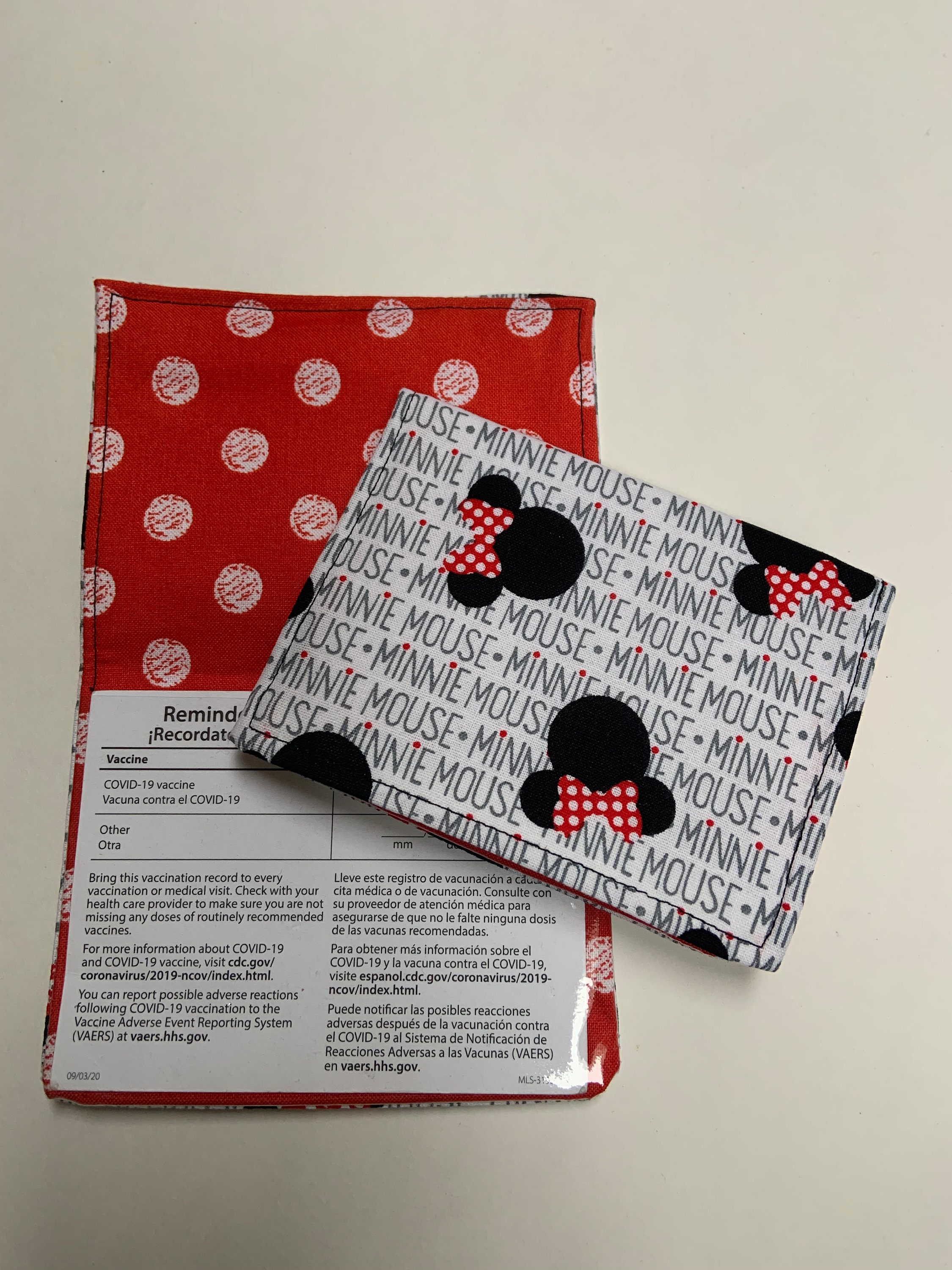 Vaccine Card Holder-mickey Mouse/disney/rainbow - Etsy