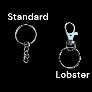 May include: Two silver keychains, one with a standard ring and a short chain, and the other with a lobster clasp and a ring.