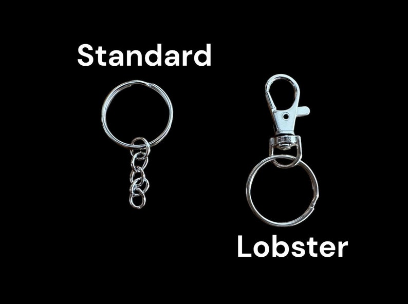 May include: Two silver keychains, one with a standard ring and a short chain, and the other with a lobster clasp and a ring.