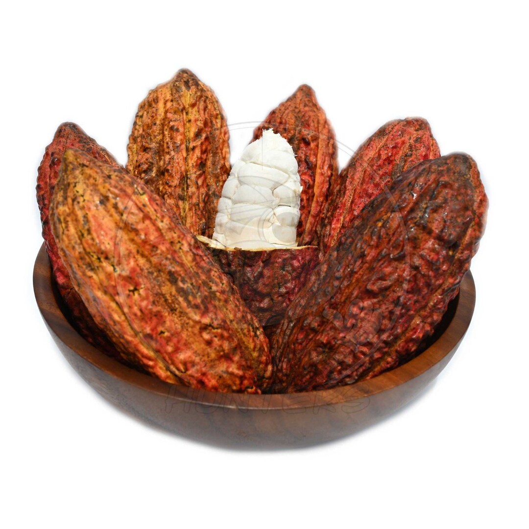 Fresh Cacao шоколад