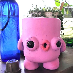 Booty Bud || Planters With Attitude!