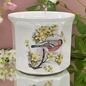 Könnte beinhalten: Weißer Keramiktopf mit einem Blumendesign, das einen Vogel mit gelben, grünen und rosa Akzenten zeigt. Der Topf hat eine abgerundete Form und einen breiten Rand.