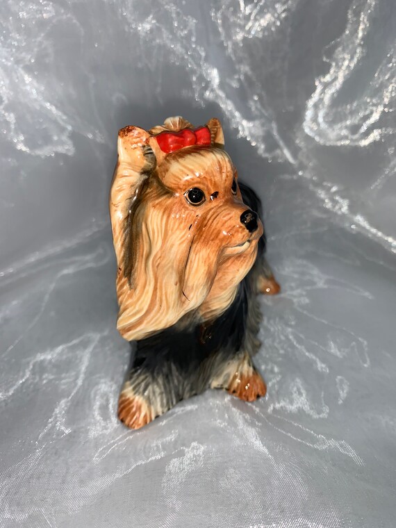 John's hotsell pampered pooch