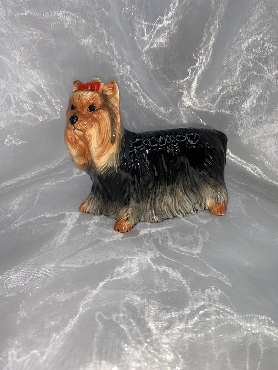 Johns pampered hotsell pooch