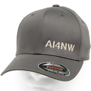 May include: A gray Flexfit baseball cap with the embroidered text "AI4NW" in a lighter shade. The cap has a curved brim and a small button on top. The Flexfit label is visible on the front.