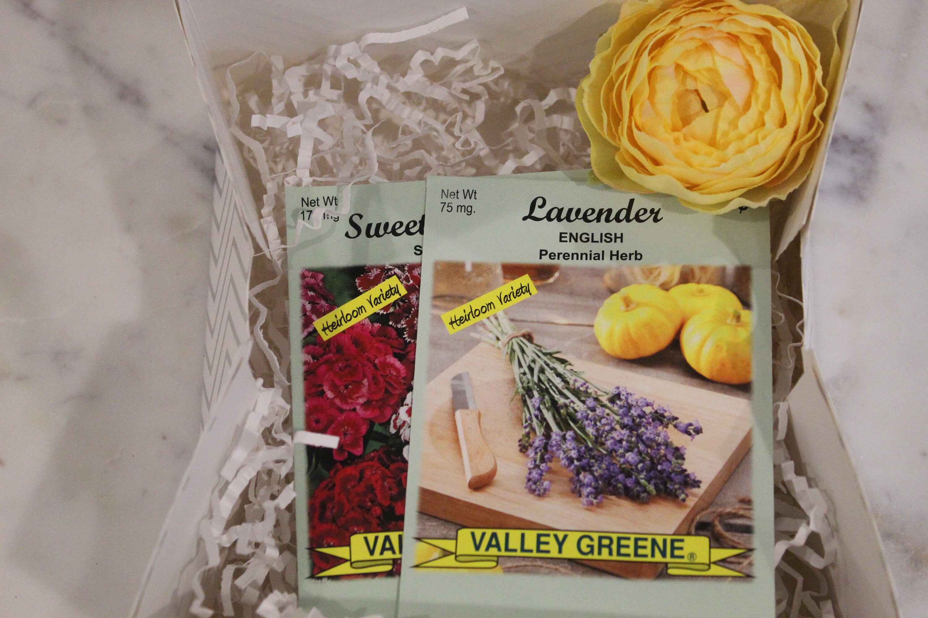 Realtor Popby Spring Popby Summer popby Real estate Etsy