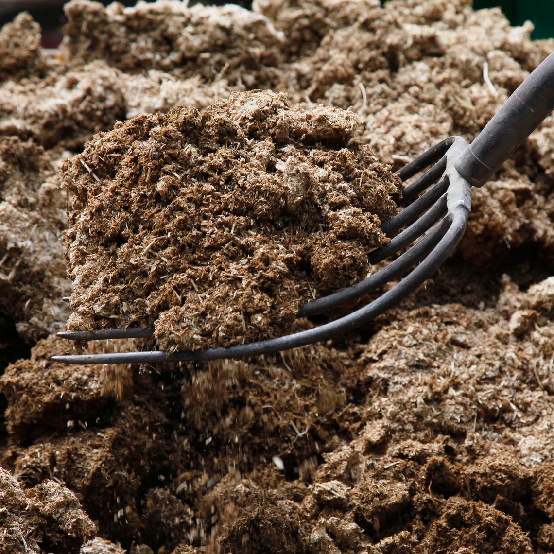 HORSE MANURE for Organic Gardening and Compost 8lbs Etsy