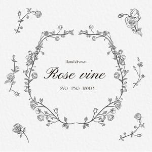 Delicate Rose Vine border Cliparts, Transparent Background PNG, SVG, 300 DPI, Digital Download