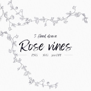 Delicate Hand Drawn Rose Vines - Digital Illustrations, Transparent PNG/SVG, Instant Download