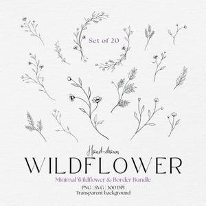Delicate Wildflower Illustrations, Vine SVG, PNG, 300 DPI, Transparent Background, Digital Download
