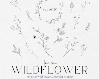Delicate Wildflower Illustrations, Vine SVG, PNG, 300 DPI, Transparent Background, Digital Download